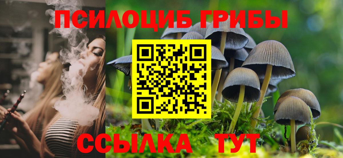 Псилоцибиновые грибы Psilocybe  Вход с VPN  Галлюциногенные грибы ЛСД  Гусь-Хрустальный 